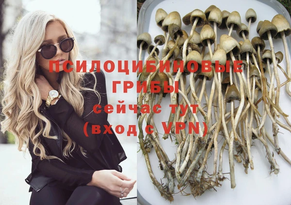 гашиш Абаза