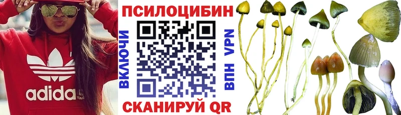 где можно купить наркотик  Тюмень  Псилоцибиновые грибы GOLDEN TEACHER 