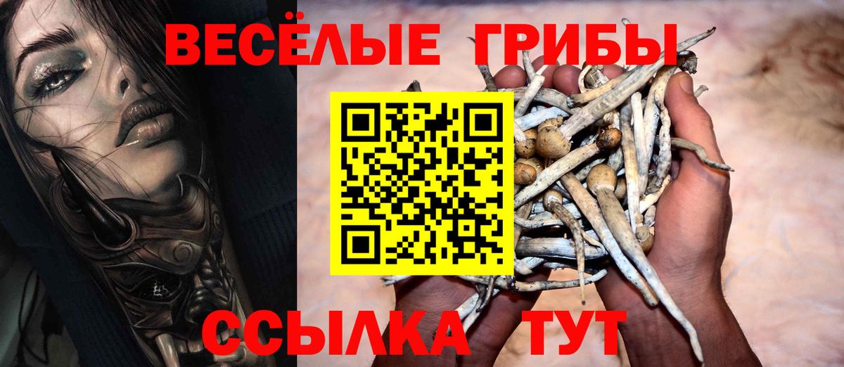 Галлюциногенные грибы мухоморы  Псилоцибиновые грибы прущие грибы  Вход с VPN  Тюмень 