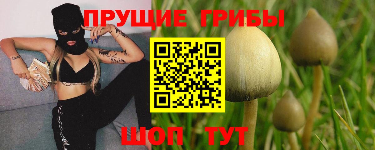 Псилоцибиновые грибы мицелий Тюмень